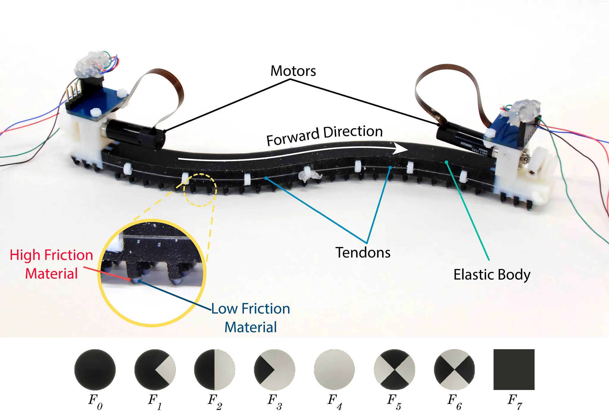蛇型ソフトロボットが IEEE Spectrum Video Friday で紹介
